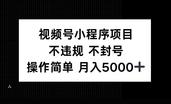 视频号小程序项目，不违规不封号，操作简单 月入5000+